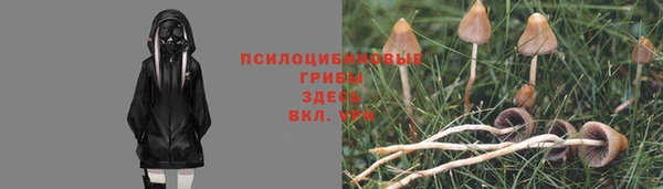 каннабис Абинск