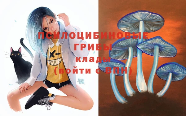 jwh Струнино